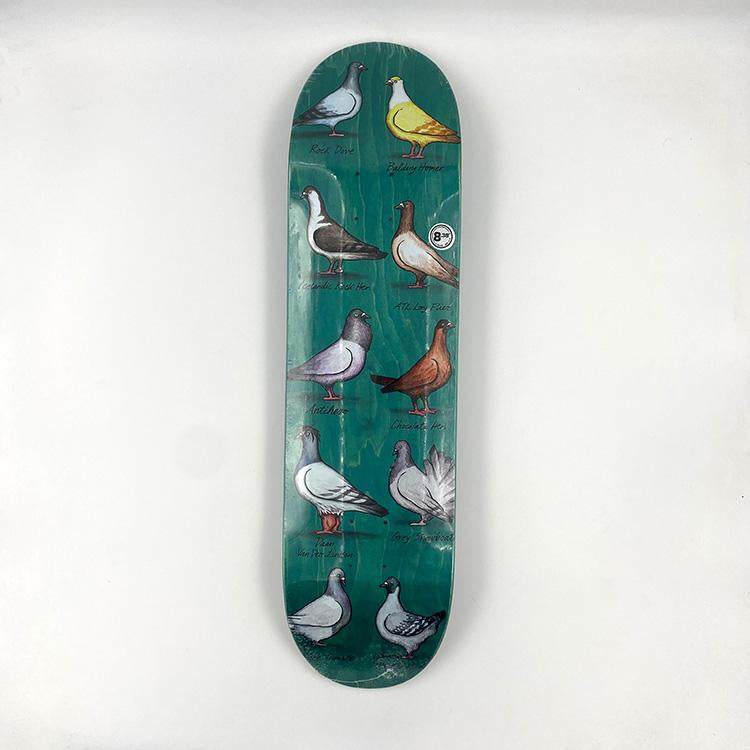 Daan Show Pigeons (8.38)