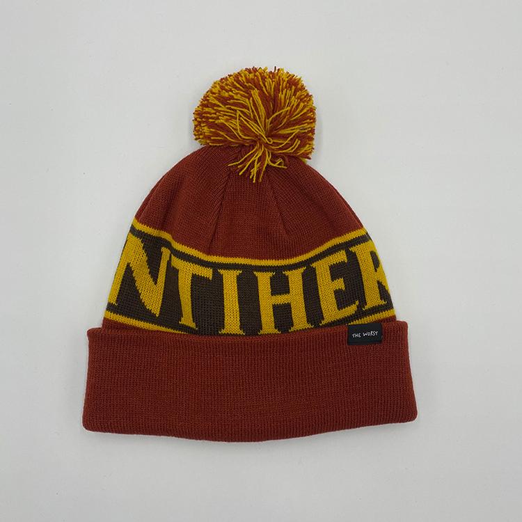 Hero Pom Beanie