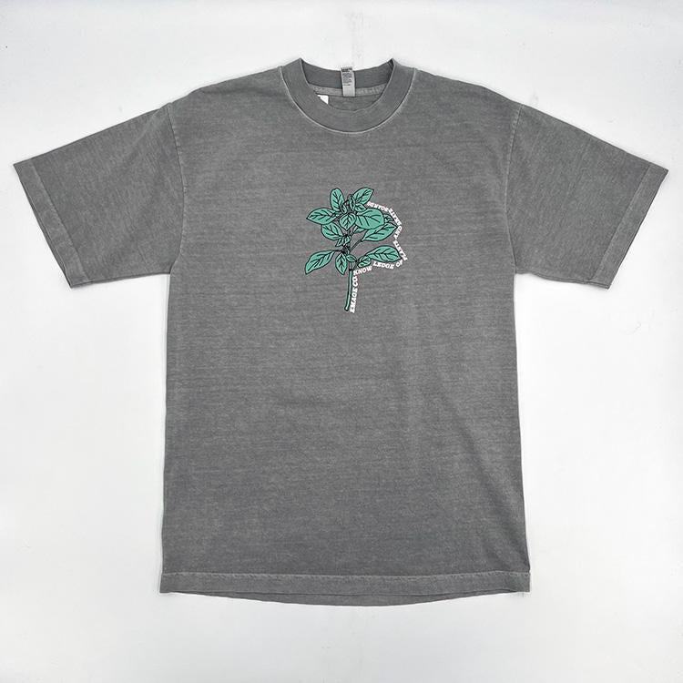 Knowledge Tee (Grey)