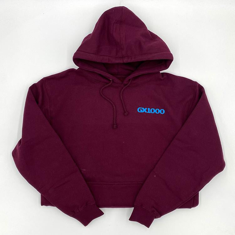 Bipolar Hoodie