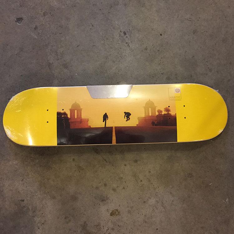 Skate the World (8.25)