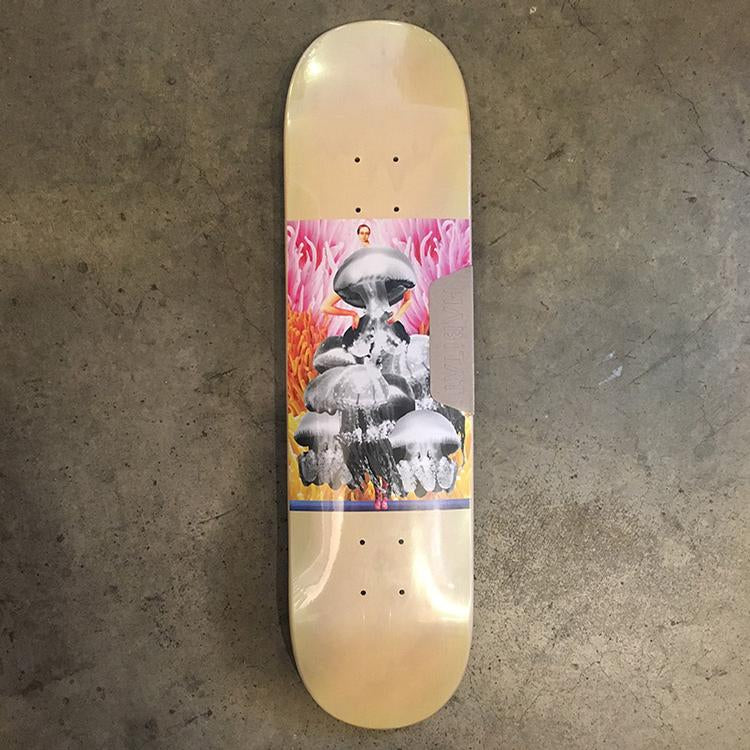 Imaginary Beings Mark Suciu (8.0)