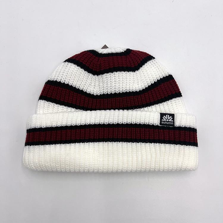 Slacker Beanie (White)