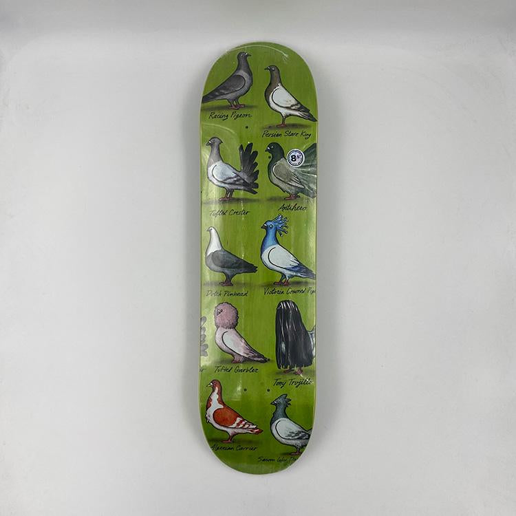 Trujillo Show Pigeons (8.5)