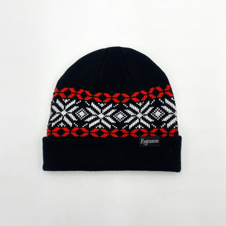 Roots Beanie (Black)