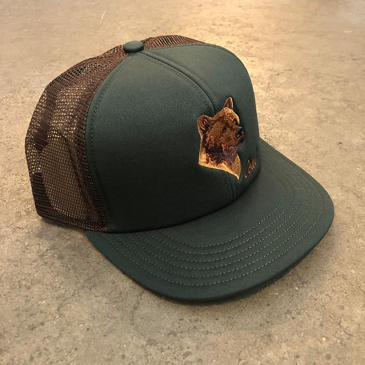 Wilds (Bear)