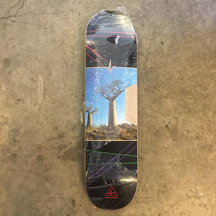 Delicate Beaubub Tree (8.18)