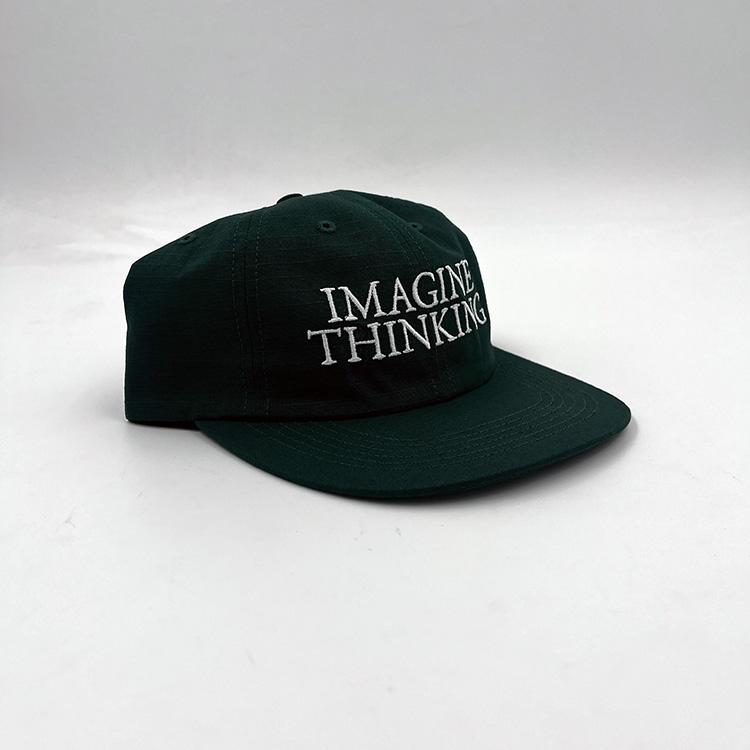 Imagine Hat (Forest)