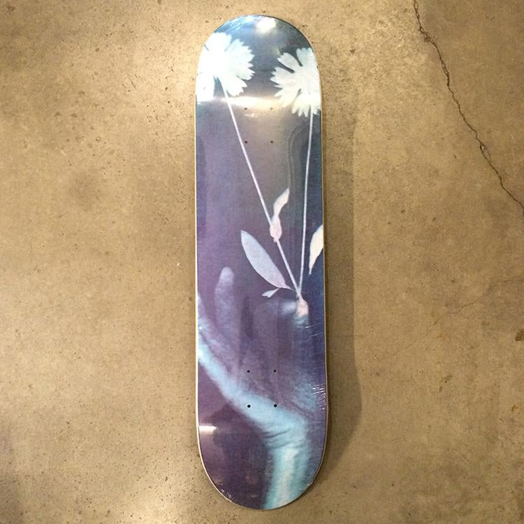 Nguyen Exposure (8.125)