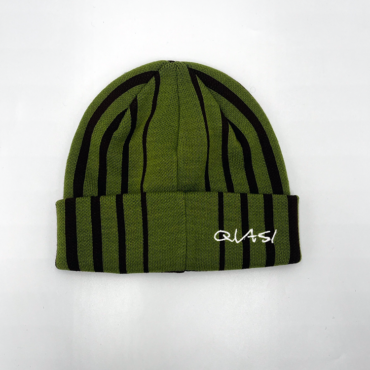 Blender Beanie (Iguana)